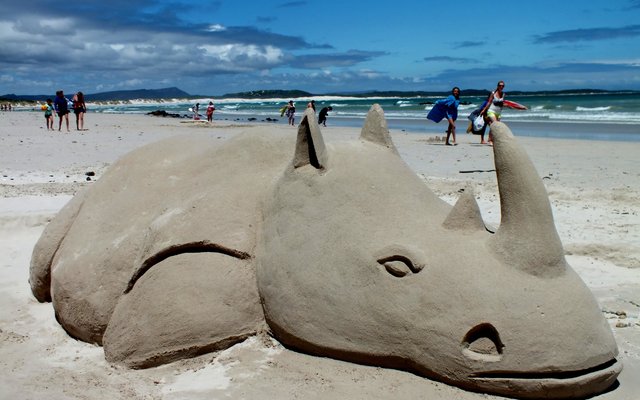 Die sandrenoster op Franskraalstrand.